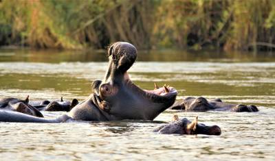 14 Tage Naturwunder Namibia, Botswana und Simbabwe — 5