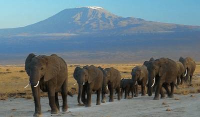 2 Days 1 Night Amboseli National Park — 2