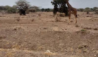2 Days 1 Night Amboseli National Park — 4