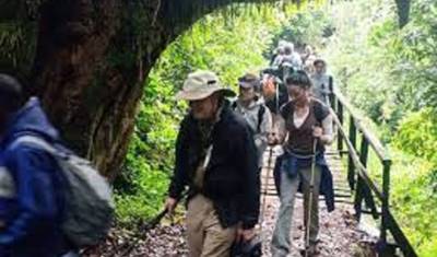 Aproveite a Melhor Oferta de Safari a Pé na Tanzânia: Serengeti & Manyara — 3