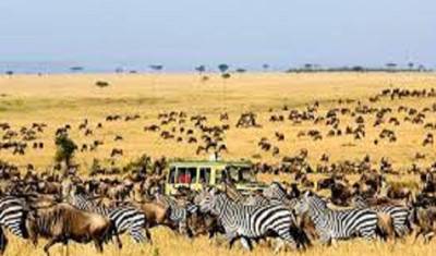 Aproveite a Melhor Oferta de Safari a Pé na Tanzânia: Serengeti & Manyara — 5