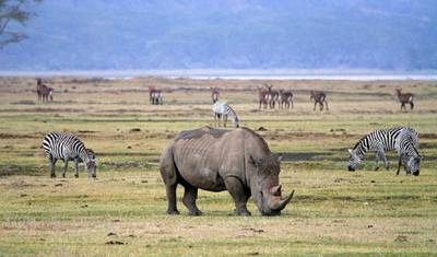 The majestic 3-Day Tanzania Safari | Shared safari — 5