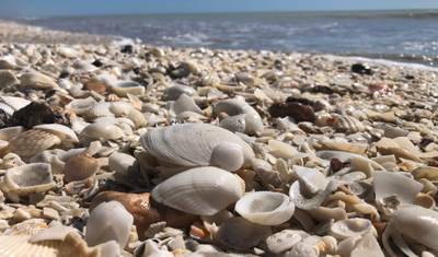 Broome do Perth drogą lądową — 5