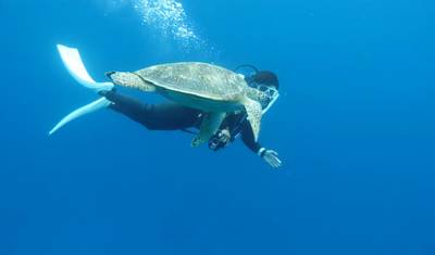 5 Days Discover Okinawa — 4