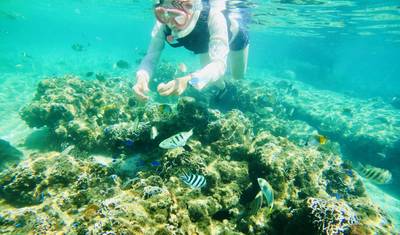 5 Days Discover Okinawa — 5