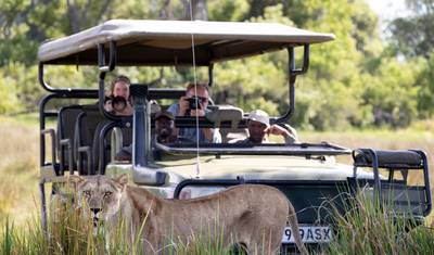 الطريق الحدائقي الشهير (Garden Route) واستكشاف الكيب (Cape Explorer): 11 يومًا من الجمال والمغامرة — 5