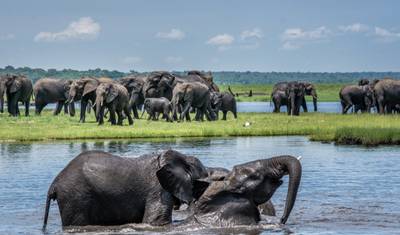 Ultimate East Africa Safari: 13-Day Kenya & Tanzania Migration Adventure — 3