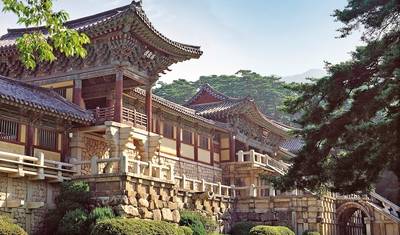 South Korea Active (incl. Flight) — 2