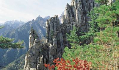 South Korea Active (incl. Flight) — 3