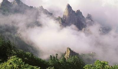 South Korea Active (incl. Flight) — 4