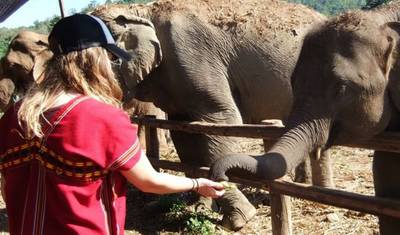 7 Days Phuket Honeymoon Tour (private guide & driver） — 3