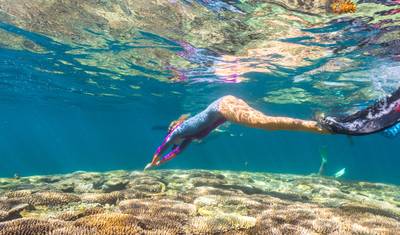 Ningaloo Reef (Exmouth) – 6-Day Tour — 3