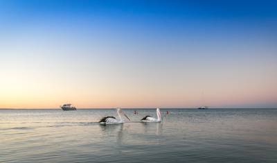 Ningaloo Reef (Exmouth) – 6-Day Tour — 4