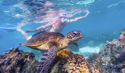 Ningaloo Reef (Exmouth) – 6-Day Tour — 2