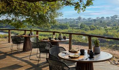 Da Montanha da Mesa aos Cinco Grandes: Uma Escapada Perfeita na África do Sul — 3