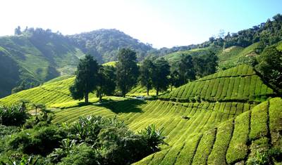 14 days Peninsula Malaysia: West Coast Experience — 3