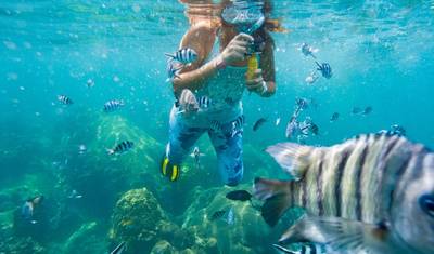 Best of the Galapagos — 3