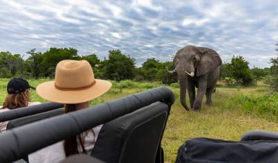 Przylądek, Kruger i Wodospady Wiktorii: Luksusowe Safari i Spektakularne Widoki — 2