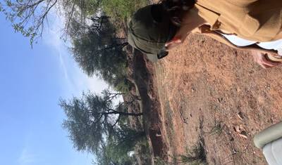 Luxury Taj and Tigers Safari — 2