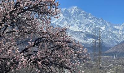 Explore Northern Pakistan - Hunza, Skardu, and Nanga Parbat Base Camp — 4