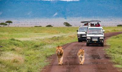Safári Africano: Quênia e Tanzânia (Nairóbi ao Parque Nacional Tarangire) (2026) — 5