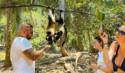 Tailor-made 15 Days Madagascar Active Tour for Baobabs & Lemurs, Daily Start — 2
