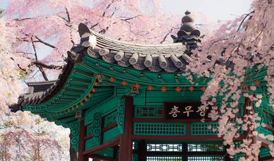 Heart of Seoul City Break - 5 days — 4