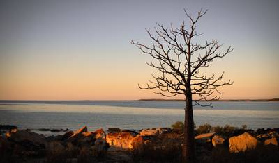 Wycieczka Szlakiem Dzikich Kwiatów z Perth do Broome — 4