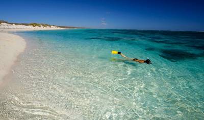 Whale Shark Snorkel Ningaloo Reef Tour — 3