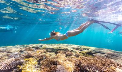 Whale Shark Snorkel Ningaloo Reef Tour — 2