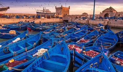 Full-Day Trip from Marrakesh to Essaouira (Private) — 2