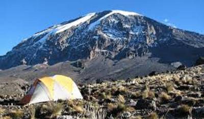 Best Kilimanjaro Hike: 1-Day Marangu Route Experience — 4