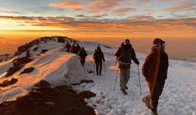 Best Kilimanjaro Hike: 1-Day Marangu Route Experience — 5