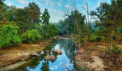 Wielka Wyprawa Safari z Tygrysami: Odkrywanie Tadoba, Pench, Kanha i Bandhavgarh — 3