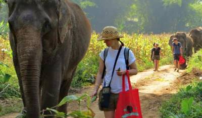 7 Days Bangkok & Phuket Honeymoon Tour (private guide & driver） — 5
