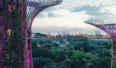Highlights Malaysia and Singapore - Guided Private Tour — 5