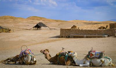 Marrocos: Escapada ao Saara — 4