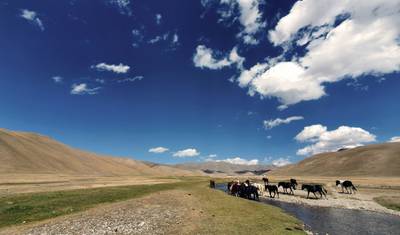 Kyrgyzstan - The Comprehensive Tour - Guided Private Tour — 3