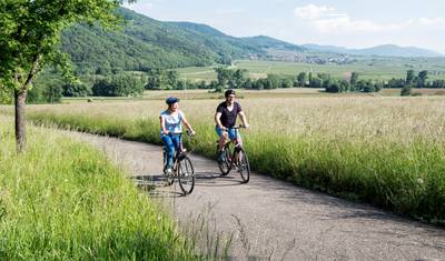 Wine regions Rheingau and Palatinate | Germany | 8 days — 3