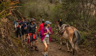 Peru: Trek the Inca Trail 4 Days — 4