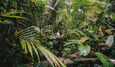 Hospede-se em um lodge no coração da floresta amazônica brasileira — 4