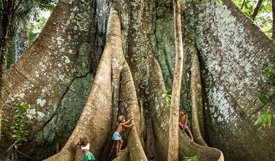 Hospede-se em um lodge no coração da floresta amazônica brasileira — 5
