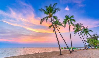 مغامرة ميزانية لمدة 6 أيام: مدينة هو تشي منه، دلتا ميكونغ وPhu Quoc Island — 3