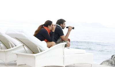 Whale Watching and Penguin Tour & Private Exclusive Transfer — 3