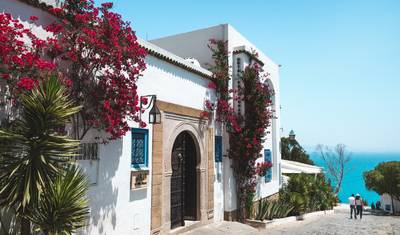 Tunisia's Highlights From/to Tunis - Guided Private Tour — 2