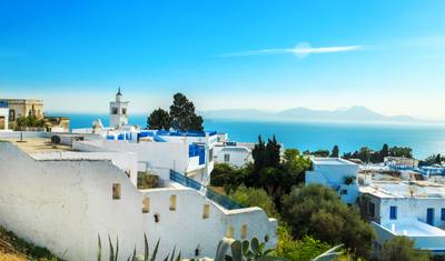 Tunisia's Highlights From/to Tunis - Guided Private Tour — 3