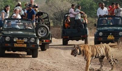 Excursão Luxuosa por Delhi, Jaipur e Agra com Ranthambore (Hotel 5 Estrelas) — 2