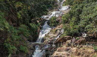 Classic Srilanka Tour 7 nights and 8 days Tour — 3