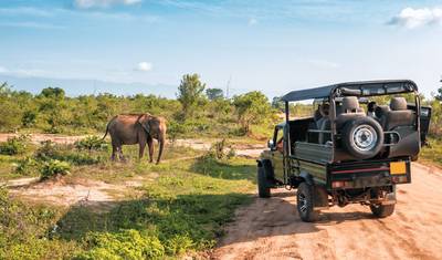 Classic Srilanka Tour 7 nights and 8 days Tour — 5