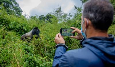 02 Days Gorilla Trek Rwanda — 2